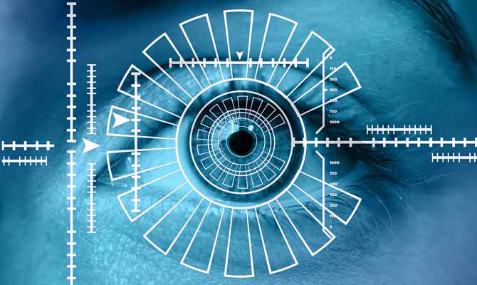 Biometrics in Identity Verification and Security